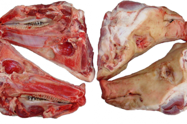 Frozen Pork heads Frozen Pork half heads - JBS - JBS SA - JBS GLOBAL