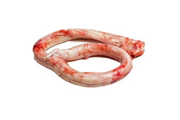 Frozen Veal Pizzle - JBS - JBS SA - JBS GLOBAL