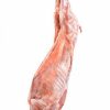 Halal Fresh Whole Lamb Carcass - JBS - JBS SA - JBS GLOBAL