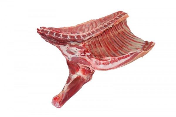 Halal Frozen Lamb Forequarter - JBS - JBS SA - JBS GLOBAL