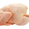 Halal Frozen Whole Chicken-Grade A - JBS - JBS SA - JBS GLOBAL