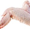 Turkey Wings (3 Joints) - JBS - JBS SA - JBS GLOBAL